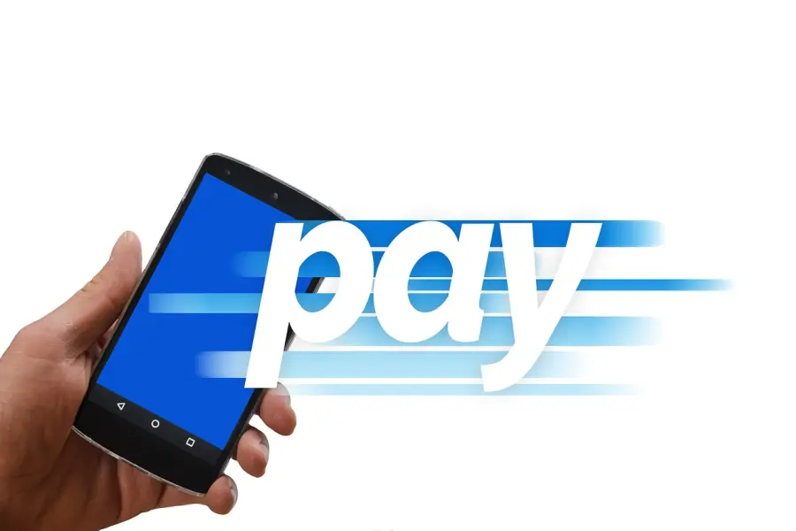 Come utilizzare Paypal per i pagamenti online?